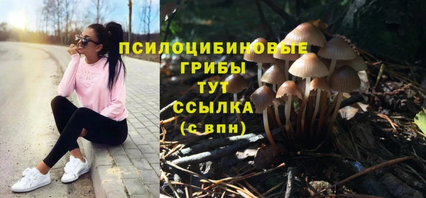 СК Беломорск