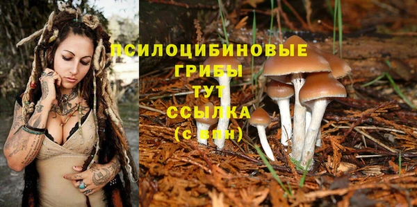 СК Беломорск